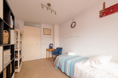 Vrouwenmantel 81  Schoonhoven 050.jpg